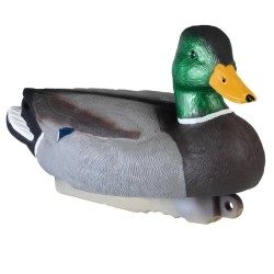 COLVERT MALE HAUTE DEFINITION STEPLAND