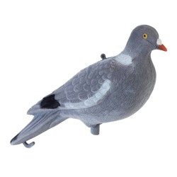 APPELANT PIGEON VELOURS 3D