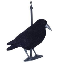 FORME CORBEAU FLOQUE GMT
