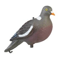 APPELANT PIGEON APR19