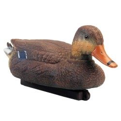 APPELANT COLVERT FEMELLE