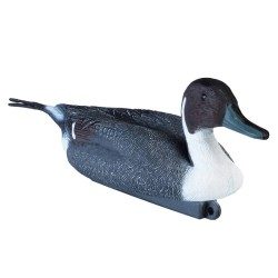 APPELANT PILET MALE