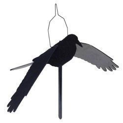 APPELANT CORBEAU AILES SOUPLES