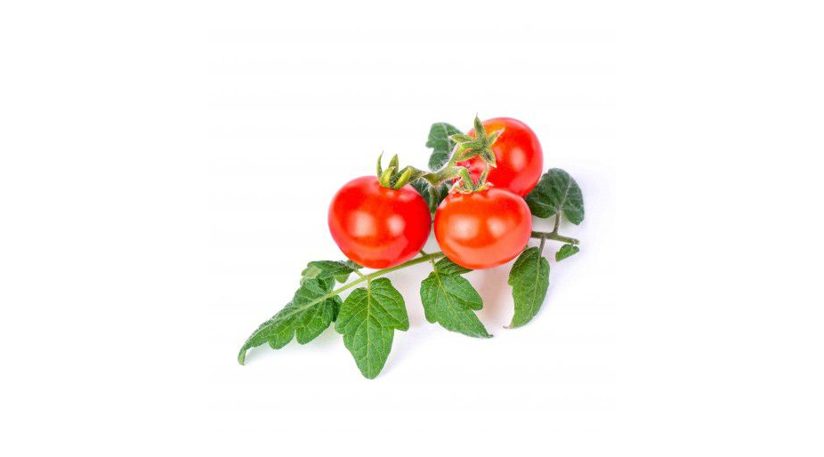 Recharge jardin intérieur Veritable Tomates cerises