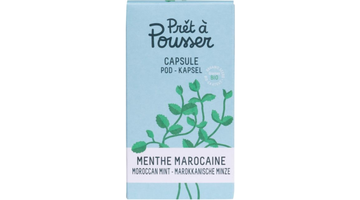 Recharge jardin intérieur Pret A Pousser MENTHE MAROCAINE