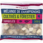 Mélange de champignons cultivés et forestiers