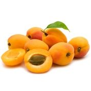 Abricots Bio