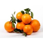 Oranges dégustation bio
