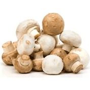 Champignon blanc Bio