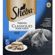 Terrines classiques pour chats coffret océan, au saumon, au cabillaud, au thon et légumes et aux poissons blanc carottes