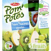 Pom’potes sans sucres ajoutés, 5 fruits pomme, kiwi, prune et raisin