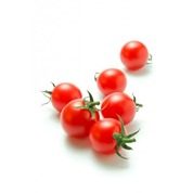 Tomate Cerise, Catégorie 1