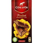 Chocolat au lait fourré au praliné