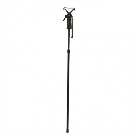 Canne de pirsh automatique