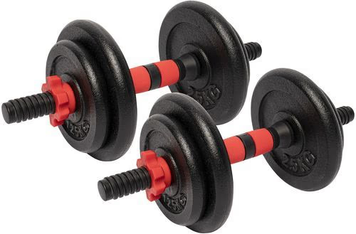 GORILLA SPORTS Sets D’Haltères 15 ou 25kg avec Disques Fonte 25 mm