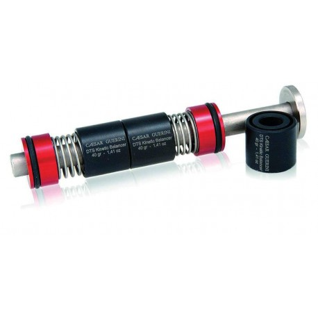 AMORTISSEUR DE RECUL DTS KINETIC BALANCER
