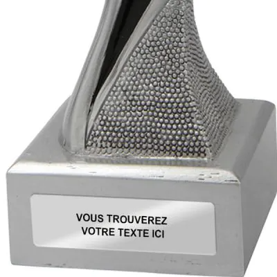 Trophée Résine Groove Fléchettes